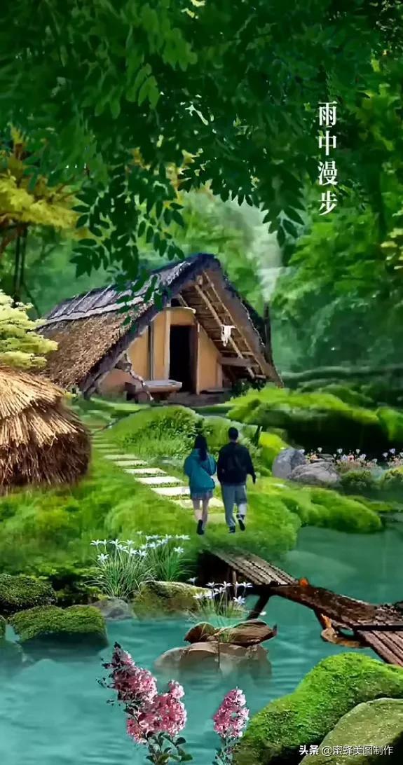 救援小孔雀