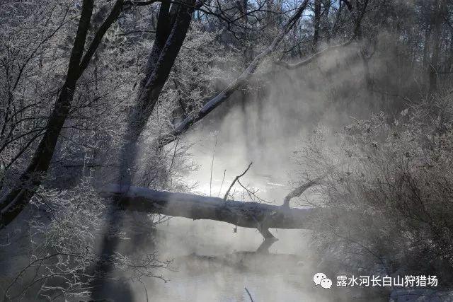 50岁以上在职教师重新认定教师资格证普通话可以不作要求吗-专业问答平台