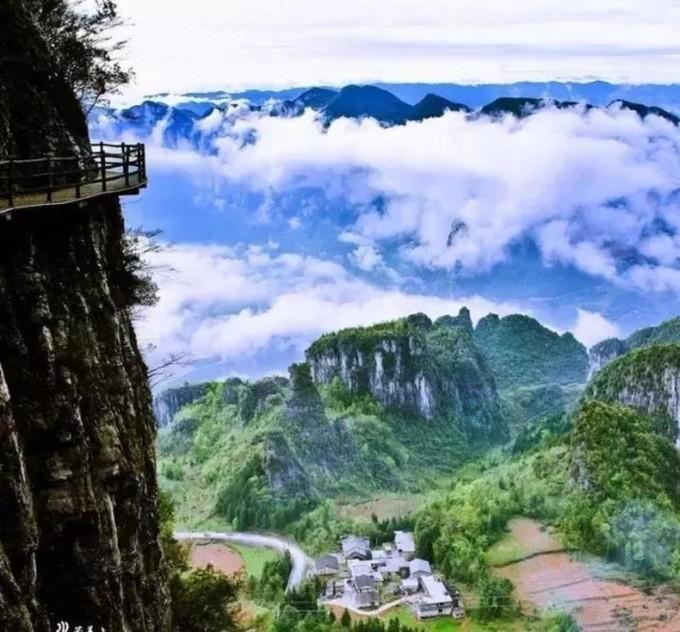 细胞分裂6
