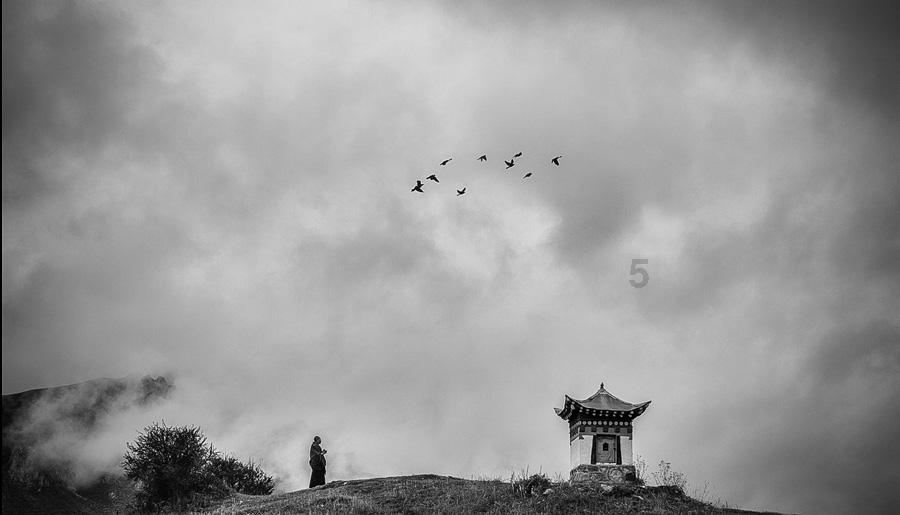 画线进球3