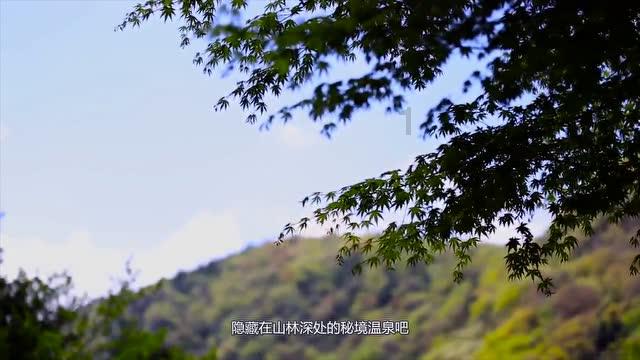钯碳回收,术业有专攻,专业的事咨询专业的人
