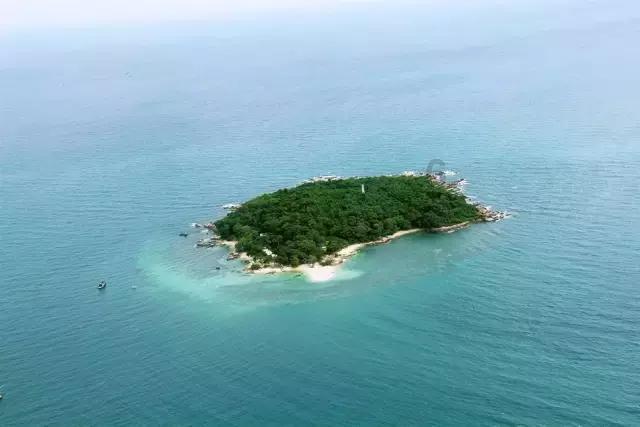 “听见”两会丨海南省政协委员高人伯:建议打造海底算力中心