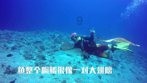 清清浅浅清清浅浅