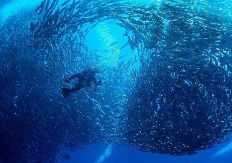 AI狂飙,谁是中国独角兽背后的「超级买家」?