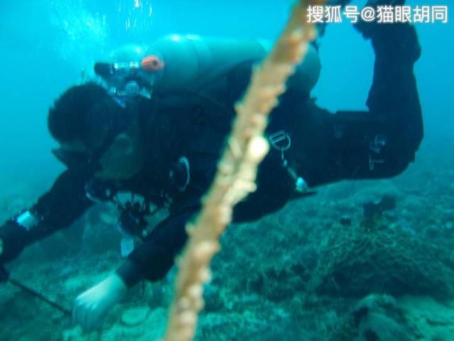 “哈尔滨”什么意思?翻译过来很有特色,东北人都几乎不知道