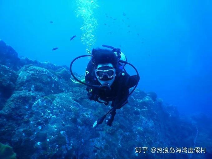 小鸡要回家