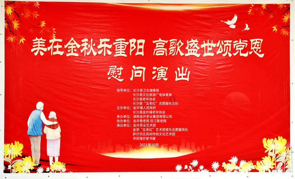 拯救精灵的土地8