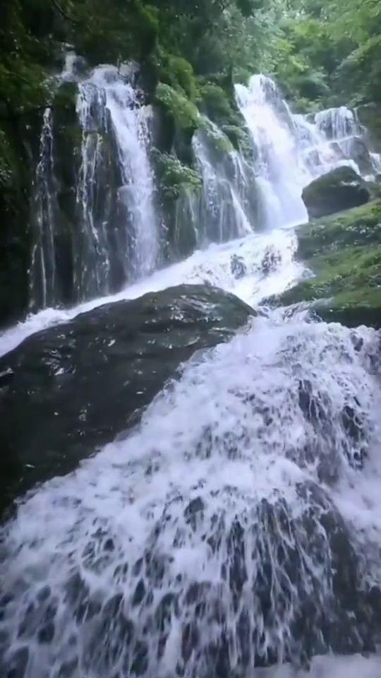 东京42
