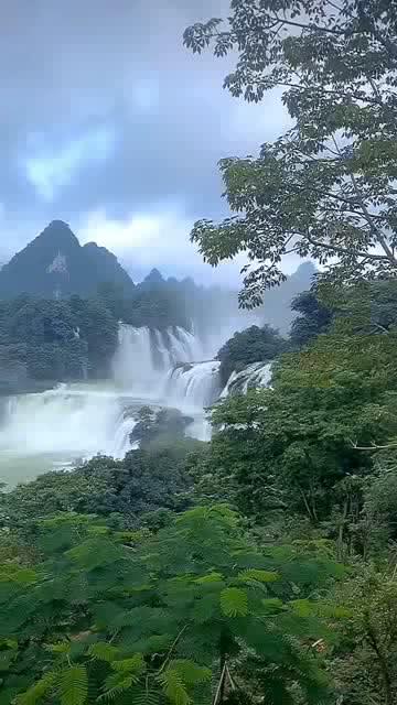 篮球大师