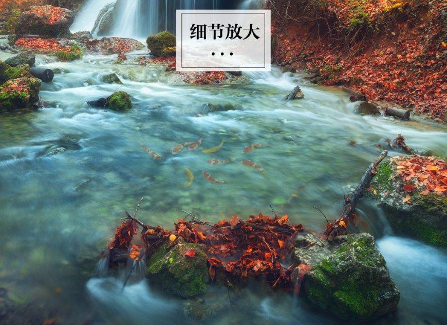 时间教授