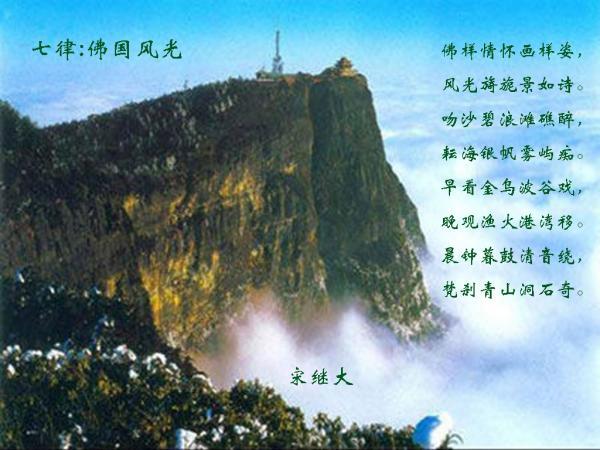 孟官社区:植绿爱绿护绿 共建美丽乡村