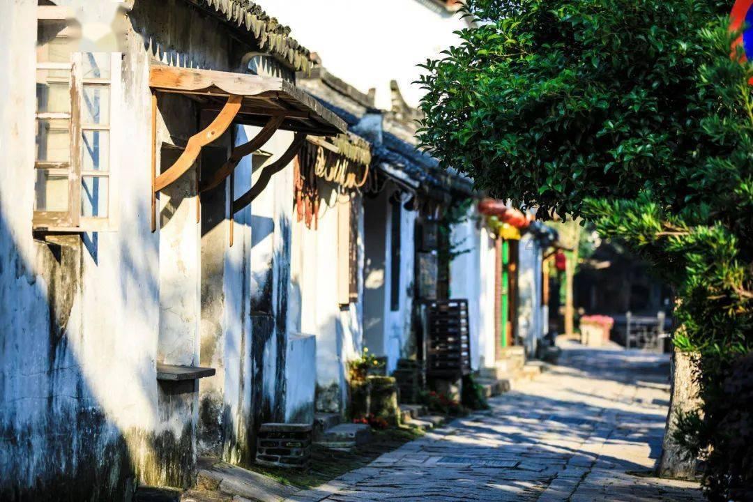 休闲钓鱼