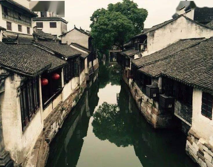 极限巅峰