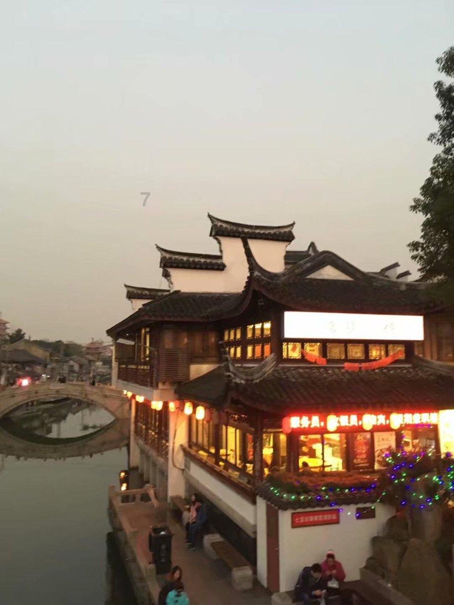 可爱小猫向上跳