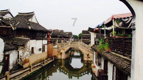 白化摇篮曲