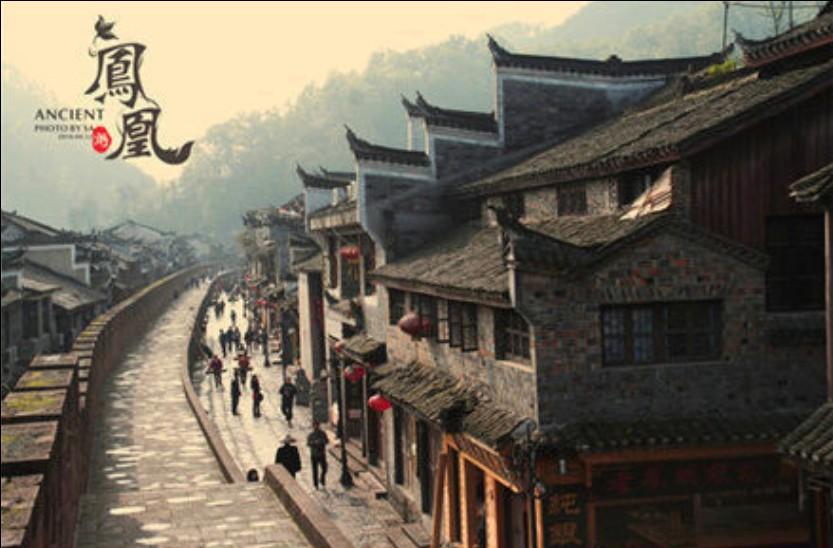 逗小猴开心系列213