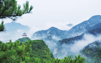 只有油盐酱油怎么做猪骨？游戏画面