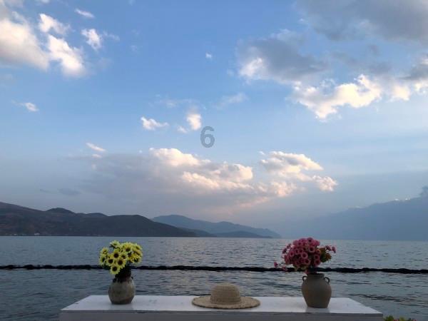 深度测评:五款热销电动观光车性能大比拼